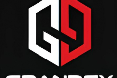 Website Development for Luxury Car Sales